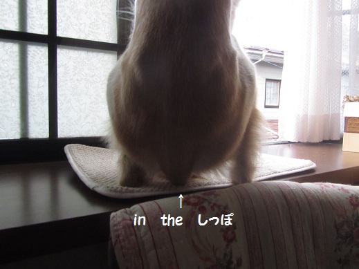 32_20130407213750.jpg