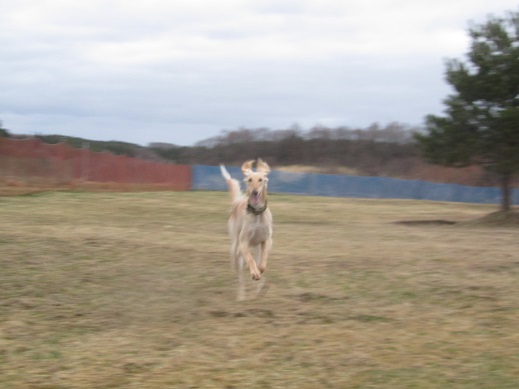 34_20130407213858.jpg