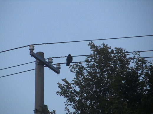 34_20130604213507.jpg
