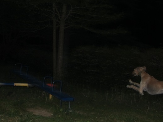 35_20130604213512.jpg