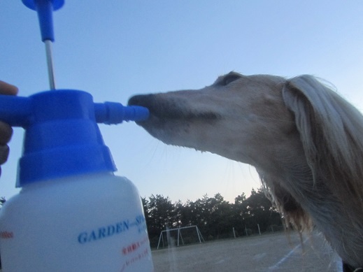 39_20130604213605.jpg
