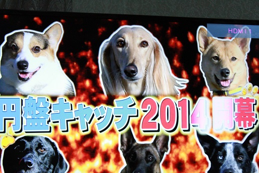 3_20140201004319ef3.jpg