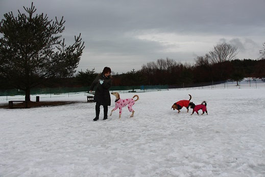 3_201402022129205b7.jpg