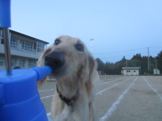 40_20130604213610.jpg
