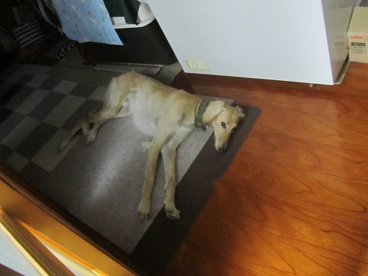 41_20130604213924.jpg
