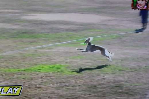 4_2014020100432683e.jpg