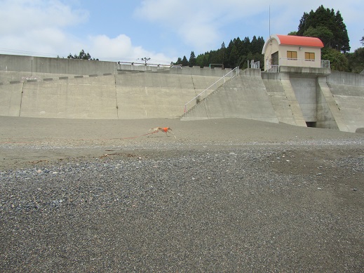 54_20130608214736.jpg