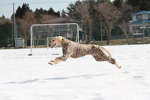 5_2014012621341512f.jpg