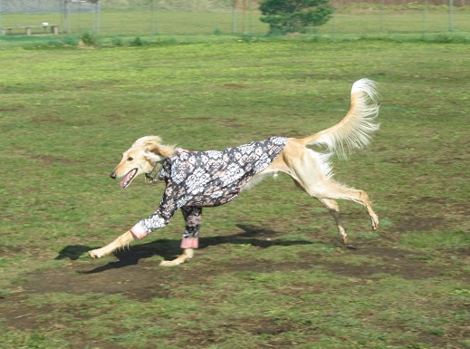 64_20130512233906.jpg