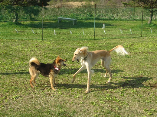 65_20130512234039.jpg
