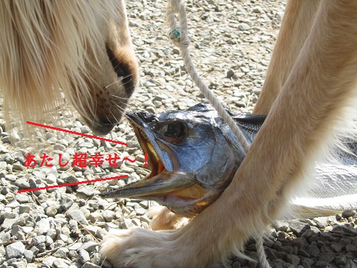 67_20130414225956.jpg