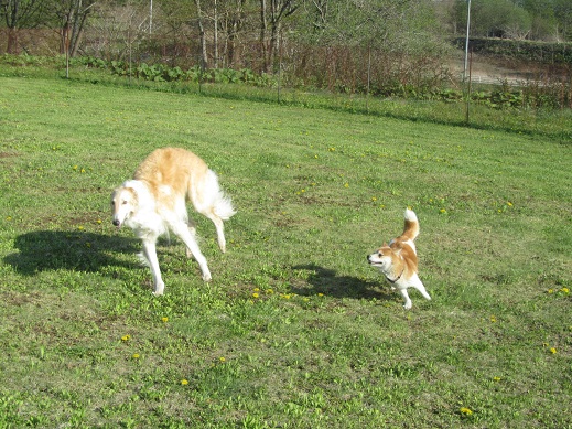 67_20130512234104.jpg