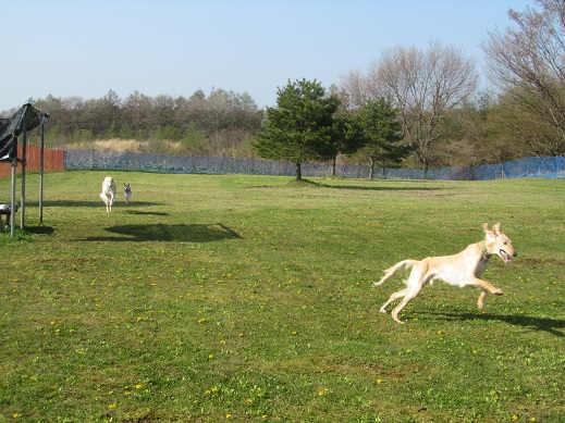 68_20130512234256.jpg