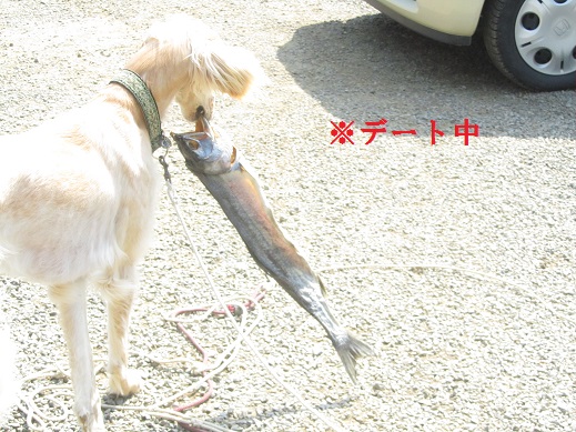 69_20130414230007.jpg