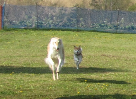 69_20130512234330.jpg