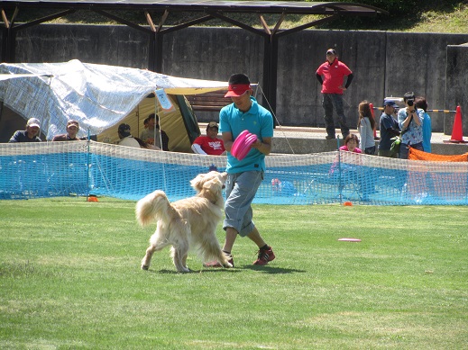 6_20130508231632.jpg