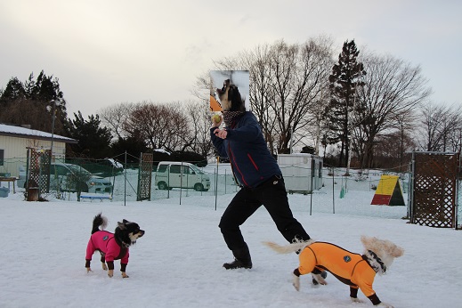 6_2014020221302312f.jpg