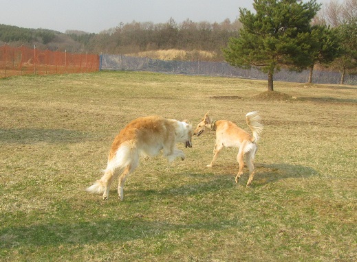 72_20130414230051.jpg