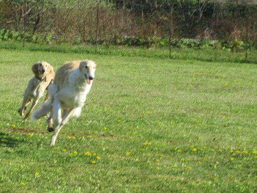 72_20130512234546.jpg