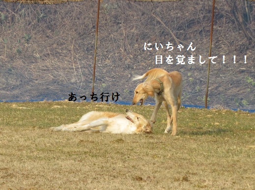 73_20130414230055.jpg