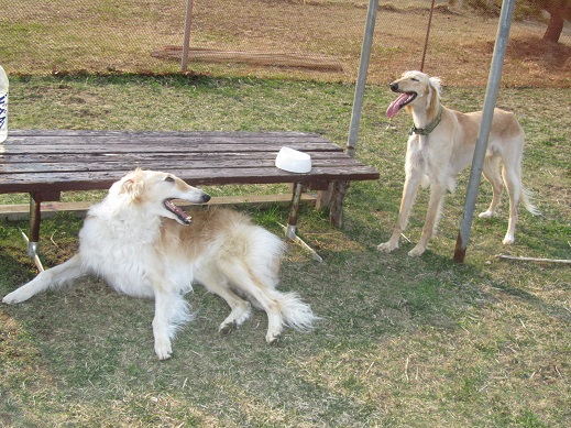 75_20130414230104.jpg