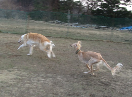 76_20130414230236.jpg