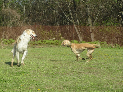 76_20130513000059.jpg