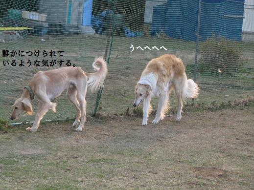 78_20130414230244.jpg