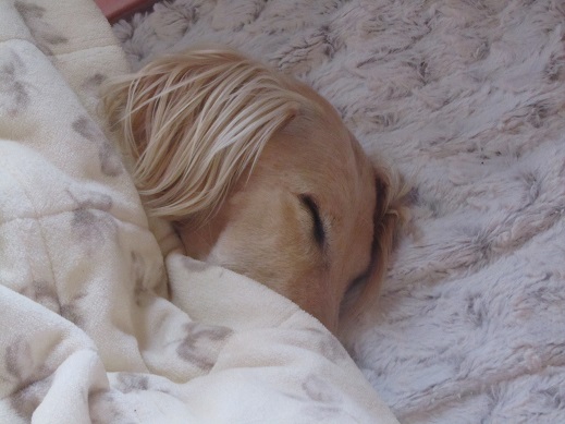 78_20130513222249.jpg