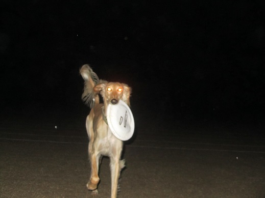 79_20130513222252.jpg