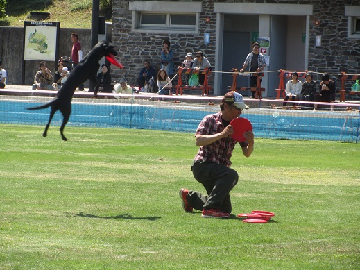 7_20130508231636.jpg