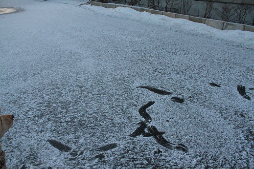 7_20140201004414b7a.jpg