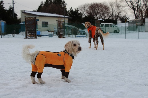 7_2014020221303069f.jpg