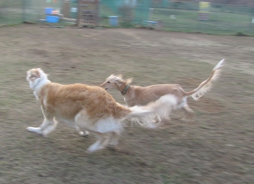 80_20130414230250.jpg