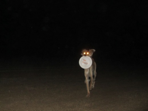 80_20130513222255.jpg