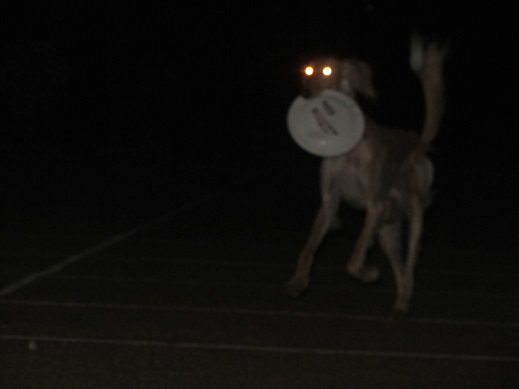 81_20130513222854.jpg