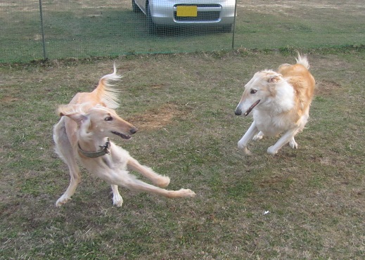 82_20130414230357.jpg