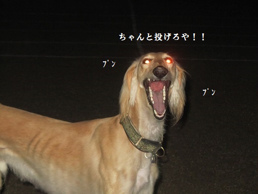 82_20130513222857.jpg