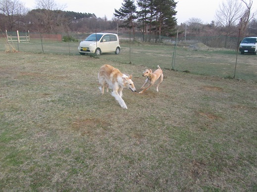 83_20130414230401.jpg