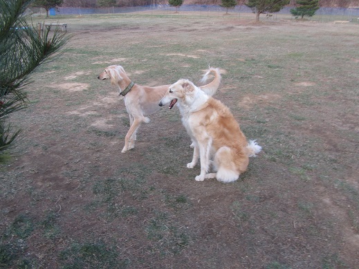 84_20130414230404.jpg