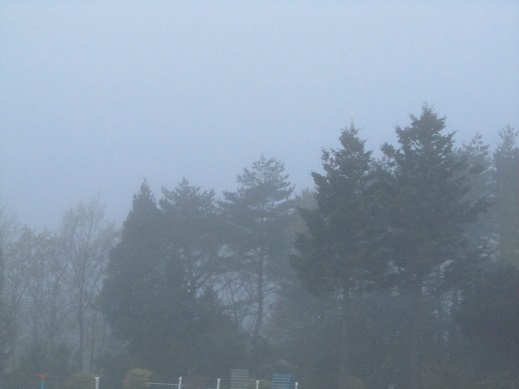 85_20130514214542.jpg