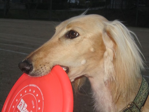 86_20130514214546.jpg