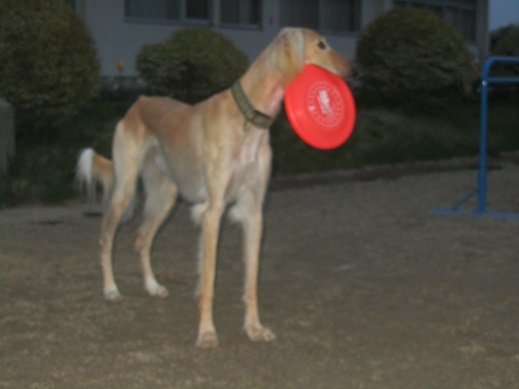 87_20130514214549.jpg