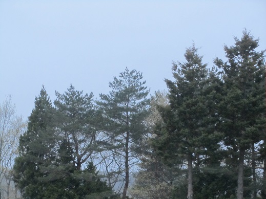 88_20130514214552.jpg