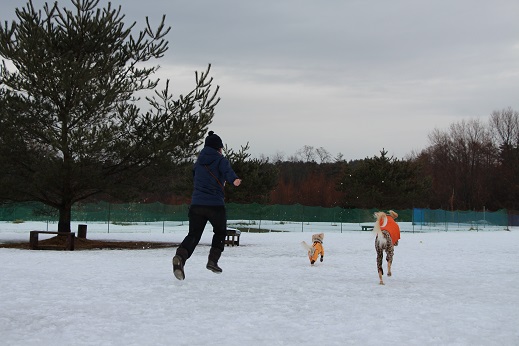 8_20140202213035722.jpg