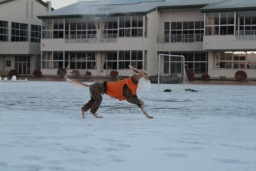 9_20140201004447853.jpg