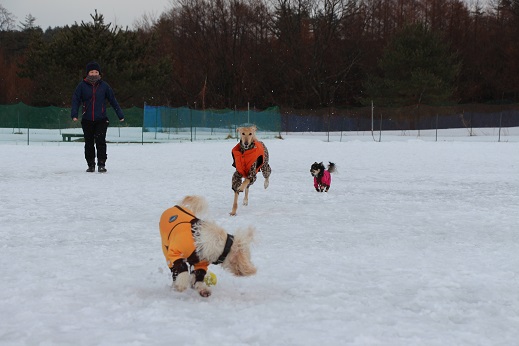 9_20140202213039ec9.jpg