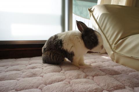 なんでオイラは13年前ここに来ちゃったんだろう???一生の不覚・・・