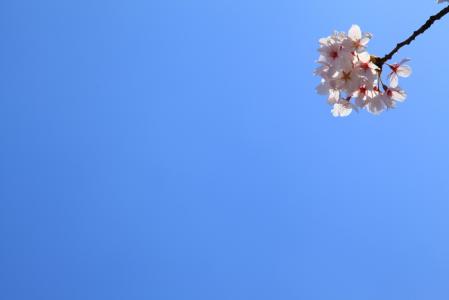 IMG_0828.jpg