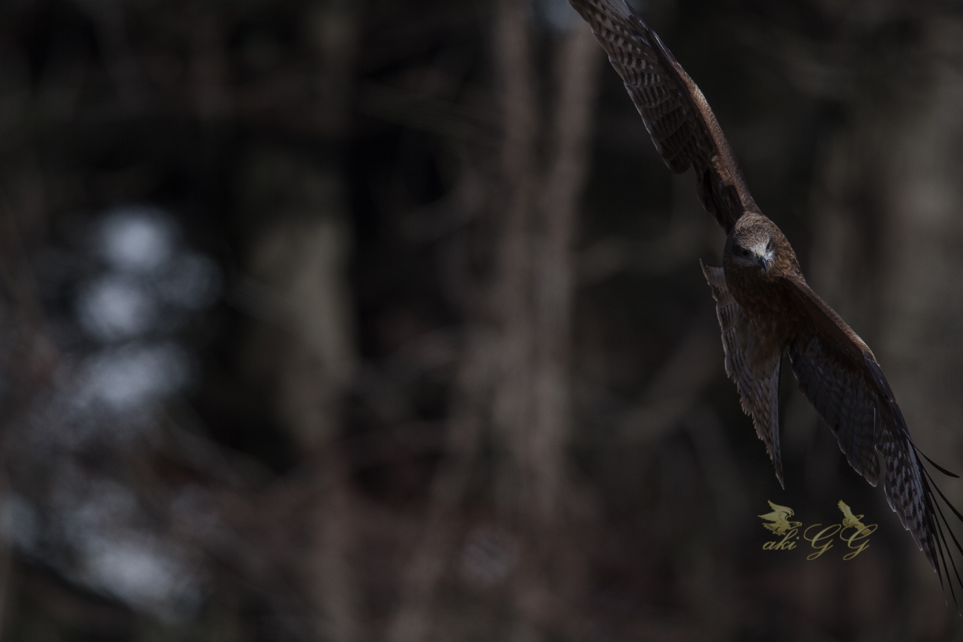 7D__3253-7.jpg